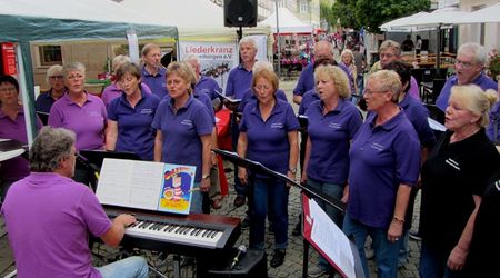 Straßenfest Vaihingen/Enz RockPop 12.09.2015 Straßenfest Vaihingen/Enz RockPop 12.09.2015