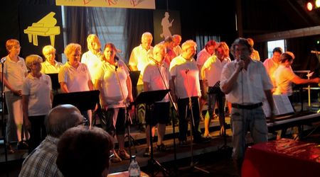 PSF Ohrwurm Liederkranz Wiernsheim 19.07.14