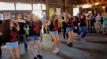 PSF Tanzschule DLC Enzweihingen 16.06.2013