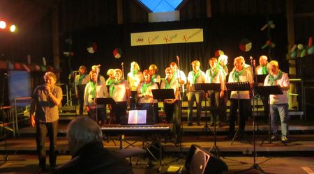 PSF 20.06.2015 Ohrwurm Wiernsheim PSF 20.06.2015 Ohrwurm Wiernsheim