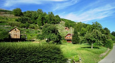 Unterer Kornberg Unterer Kornberg