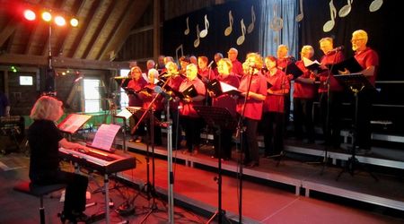 PSF Chorgemeinschaft Hochdorf-Riet 16.06.2013