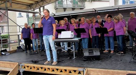 Straßenfest Vaihingen/Enz Ansage Gemischter Chor 13.09.2015 Straßenfest Vaihingen/Enz Ansage Gemischter Chor 13.09.2015