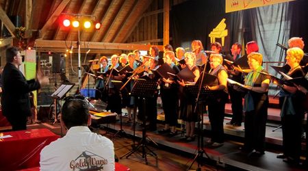 PSF Frauenchor Singgemeinschaft Hemmingen 20.07.14
