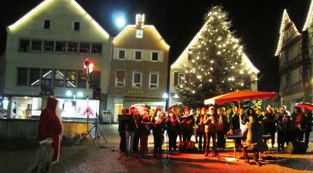 Flötistinnen (Klanghölzer) und Trompeter - Weihnachtsserenade 13.12.14