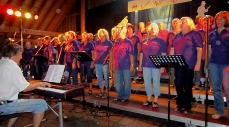PSF RockPop Liederkranz Enzweihingen 19.07.14