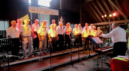 PSF Männerchor MGV Vaihingen/Enz 20.07.14